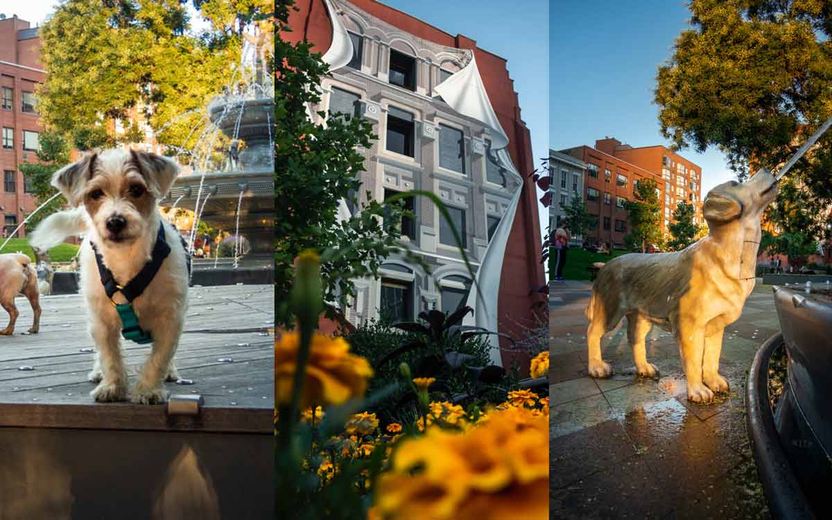 Photography from Berczy Park, St. Lawrence Market Neighbourhood, Toronto by Mike Simpson (Member Post)