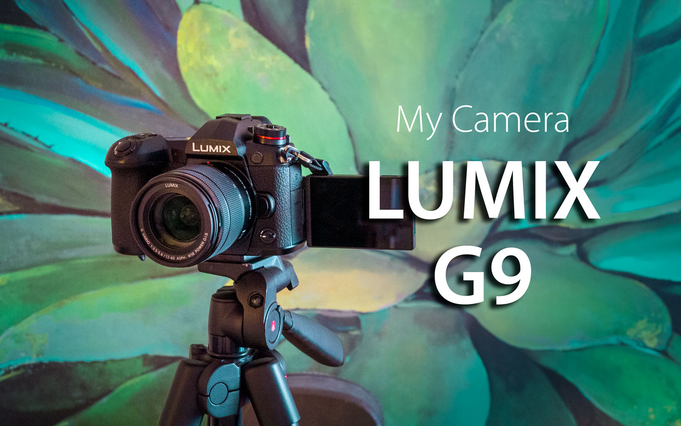 My Camera: Journey with the Panasonic Lumix G9 (Part One)