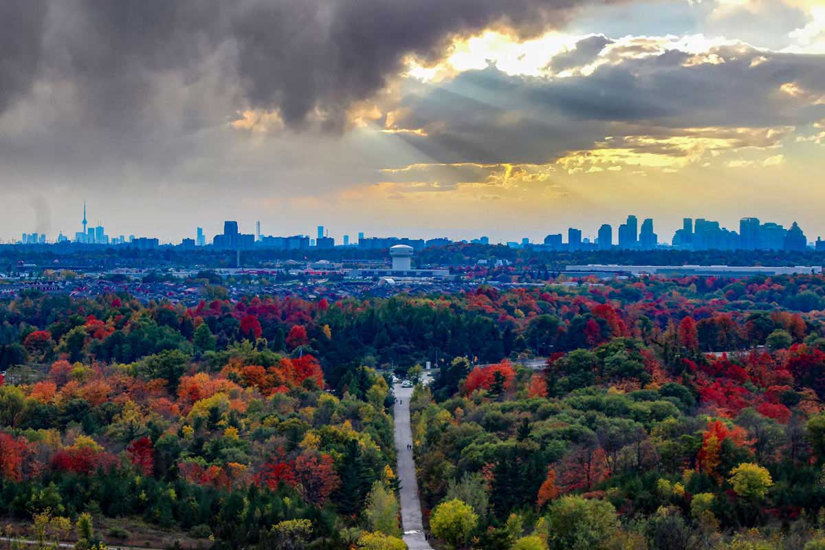 Nature in the City: Why Photographers Love The Rouge National Urban Park