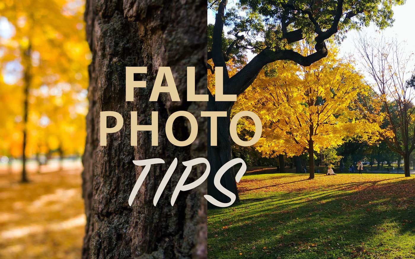 Photography Tips: How to Improve Your Fall  Shots with Composition, Depth, Colour Grading, and Gear 🍁