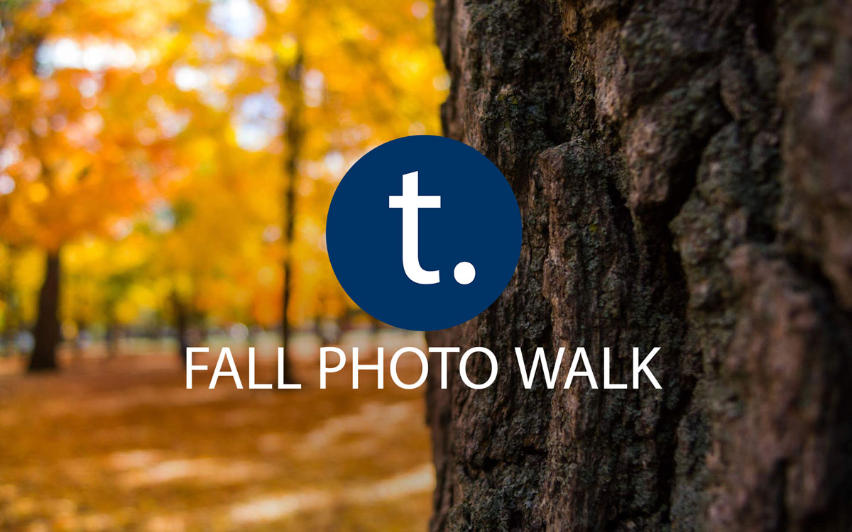 Tdot Shots Toronto Photo Walks Fall 2019 – High Park and U of T