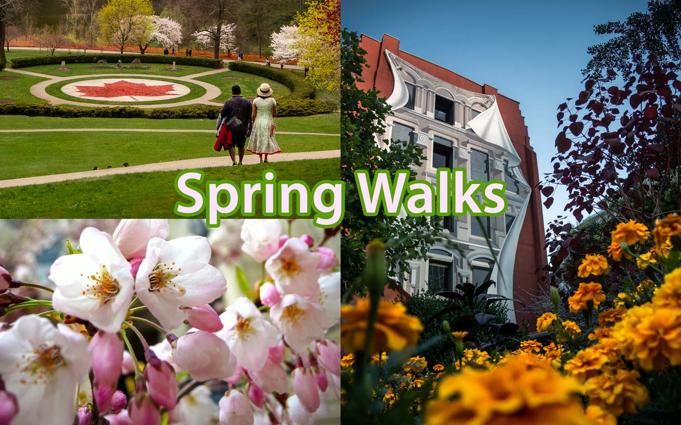 Spring Photo Walks and Meetups in Toronto Hosted by Tdot Shots